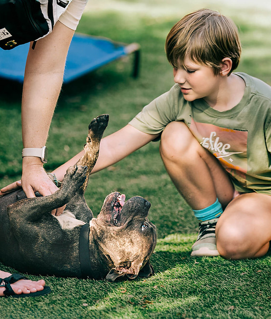 A dog lies joyfully on grass with paws in the air, while a child and adult gently pet it.