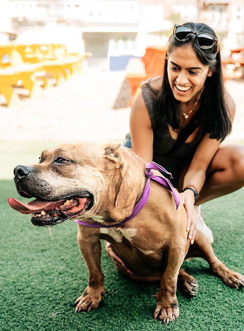 A woman crouches, smiling joyfully at a panting brown dog with a purple bandana on grass.