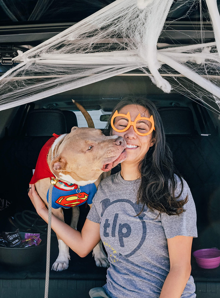 Woman smiling while a dog in a superhero costume licks her face.