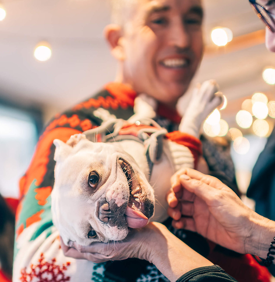 Man holds a playful bulldog in a festive sweater, smiling as another person pets the dog.
