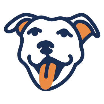 Asset 55dsv.png