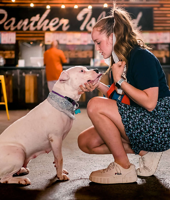Volunteer kneels, lovingly facing a white pit bull under warm string lights.