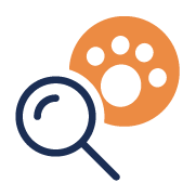 Asset 34.png