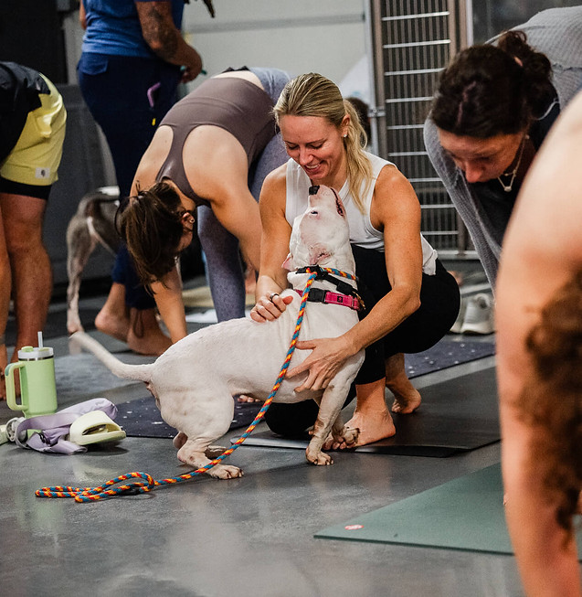 A woman in a yoga class smiles while petting a white dog on a leash. Others perform yoga poses.