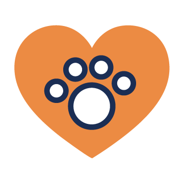 Asset 51dsv.png