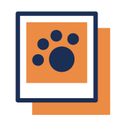 Asset 36.png