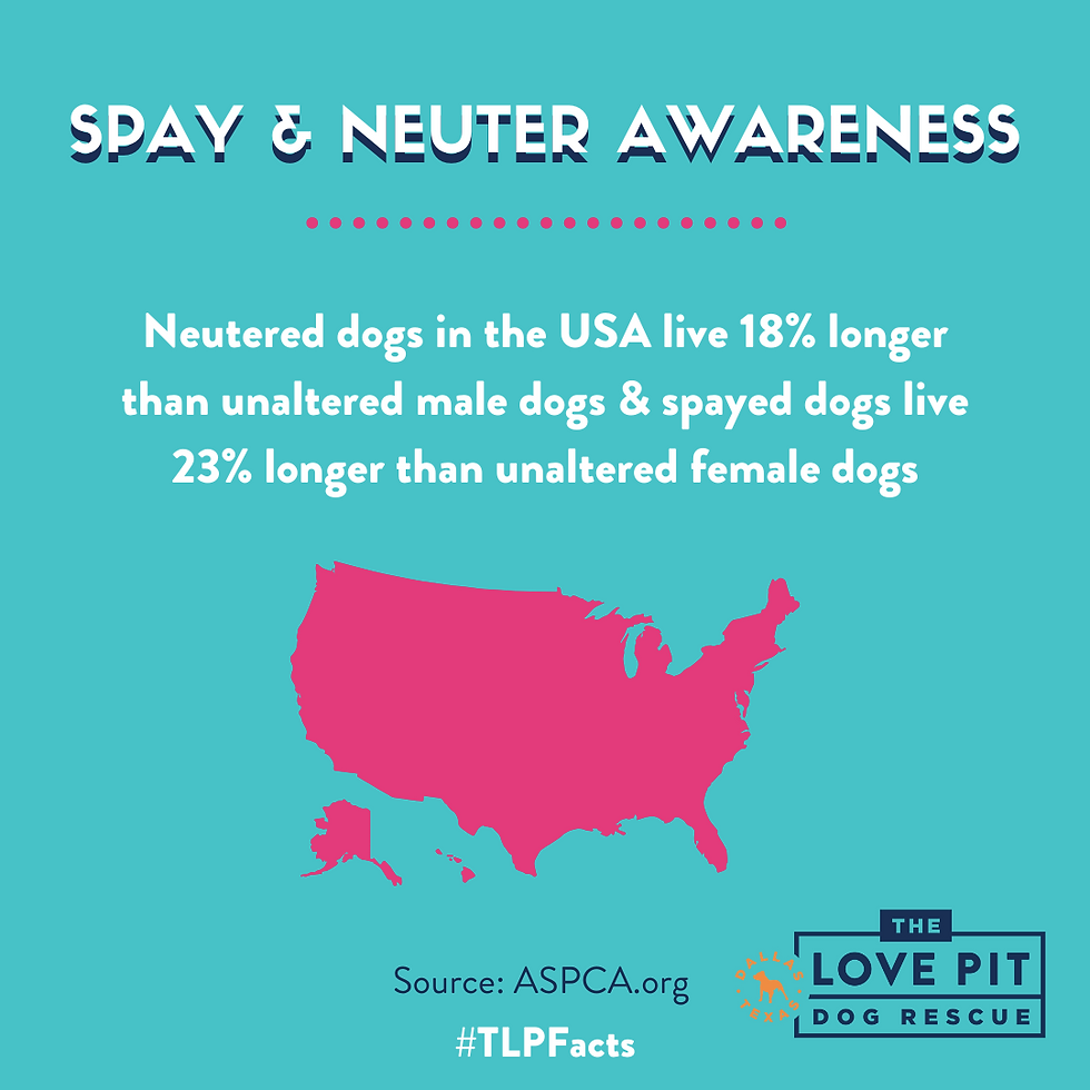 In the USA, Neutered dogs live 18% longer than unaltered and spayed dogs live 23% longer than unaltered dogs