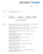 ANTHONY PALMINI RESUME 2015