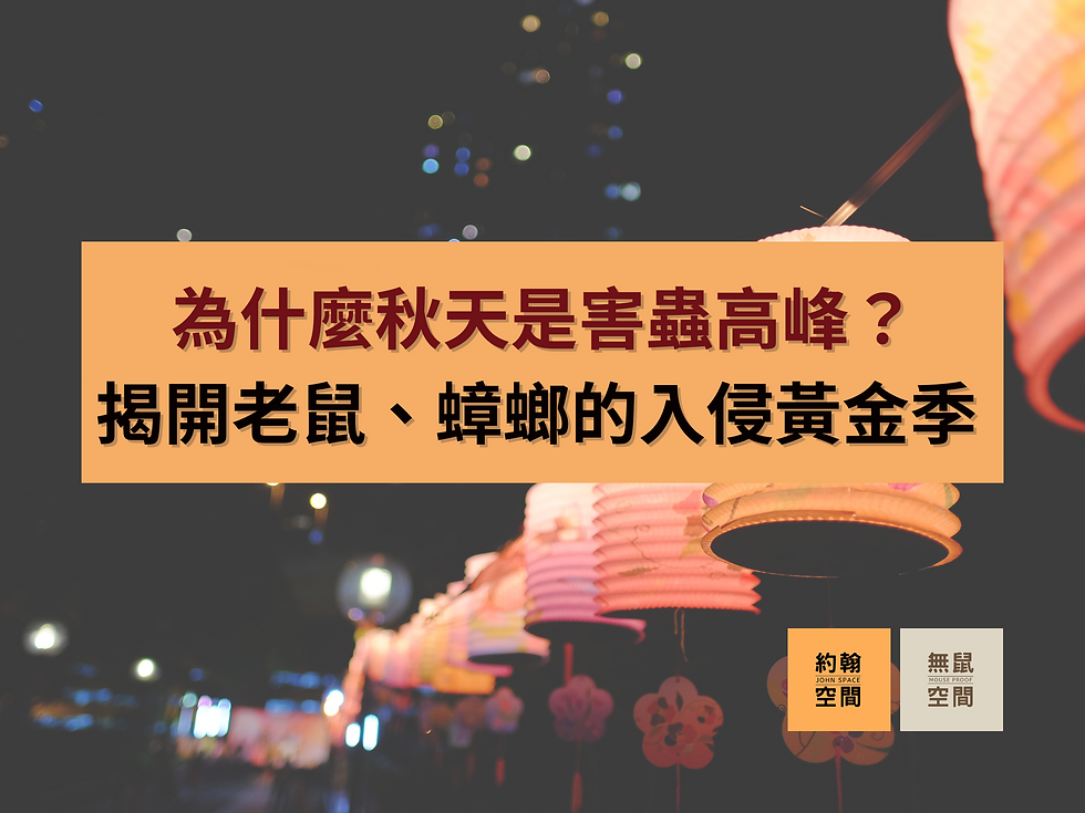 為什麼秋天是害蟲高峰？揭開老鼠、蟑螂的入侵黃金季