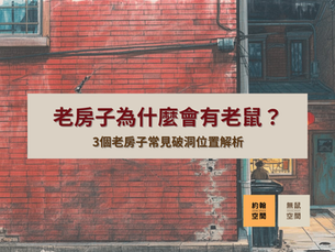 老房子為什麼會有老鼠？三個老房子常見破洞解析