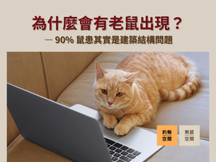 為什麼會有老鼠出現？老鼠不是夜市來的！90% 鼠患其實是建築結構問題