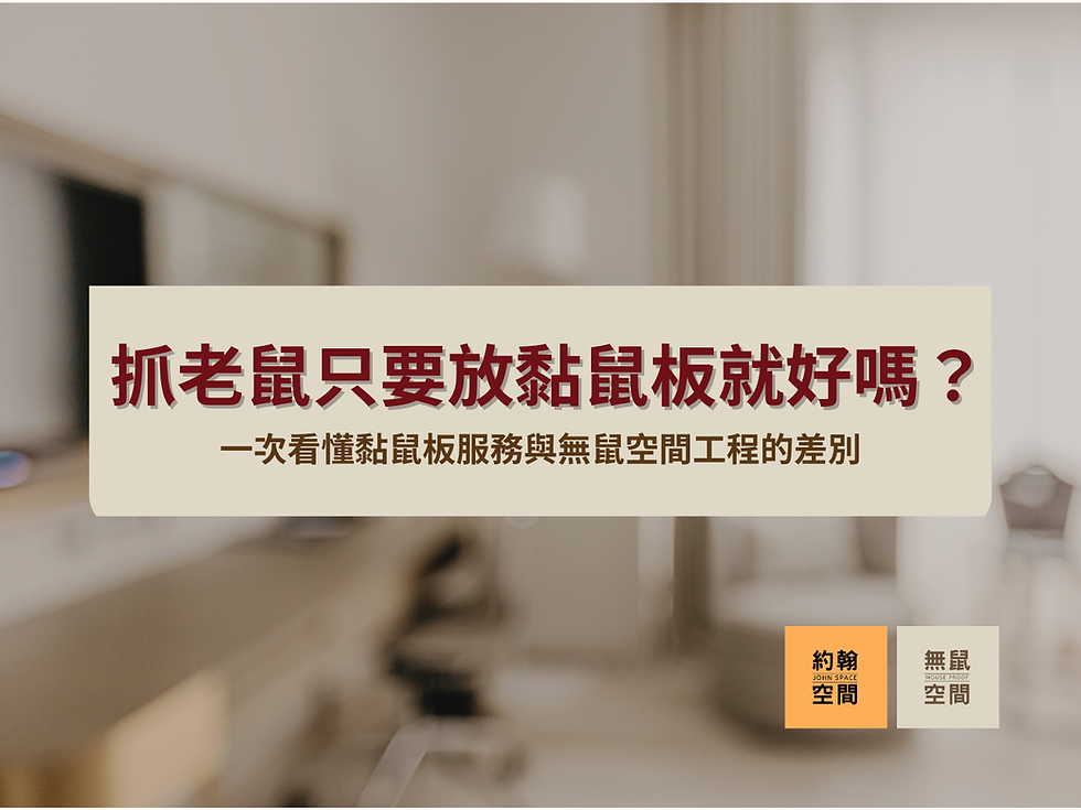 抓老鼠只要放黏鼠板就好嗎?