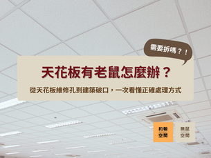 天花板有老鼠怎麼辦?
