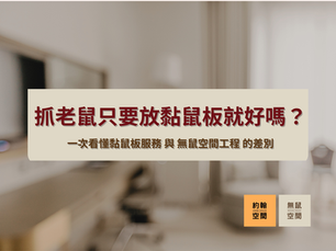 抓老鼠只要放黏鼠板就好嗎?