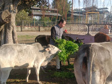 भींडर: आचार्य विमल सागर महाराज के 31वें समाधि दिवस पर सेवा कार्यों की सरिता बही Bhindar: A stream of service activities flowed (CommunityService, HumanitarianEfforts, WinterRelief)