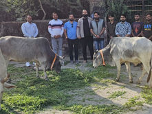 भींडर: 'द रॉयल फिटनेस क्लब' की अनूठी पहल, अब हर शनिवार फिटनेस के साथ होगी गौ-सेवाCow Welfare, Community Service, Bhinnder