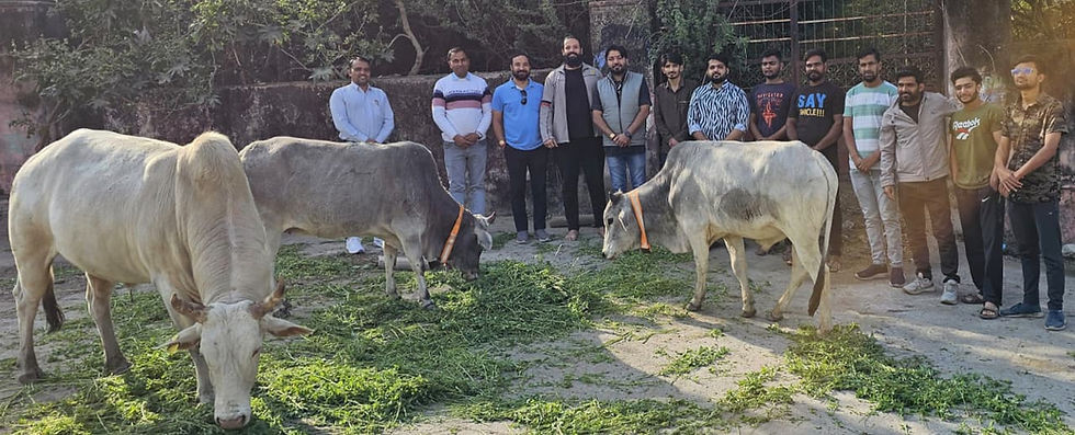 Cow Welfare, Community Service, Bhinnder