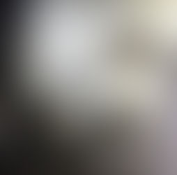 अनूपपुर: कुएं में गिरने से दुर्लभ सफेद भालू के शावक की मौत, वन विभाग ने किया अंतिम संस्कारWildlifeIncident, RareSpecies, ForestSafety