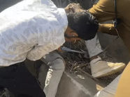 बैतूल: तेज रफ्तार कार ने अचानक मारे ब्रेक, बाइक सवार भाई-बहन पुलिया से नीचे गिरे; युवक के पैर में घुसी लोहे की रॉड (BetulAccident," "RoadSafety," and "TrafficIncidents)