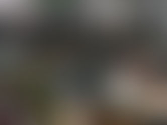 सांप्रदायिक सौहार्द की मिसाल: इटारसी में हजरत मौला अली जन्मोत्सव पर उमड़ा जनसैलाब, कव्वाली से गूंजा कौमी एकता का संदेश CommunalHarmony, NationalUnity, CulturalCelebration