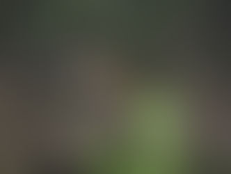 सारनी: राख बाँध पर सोलर प्लांट का विरोध बना वन्यजीवों की जीत; तेंदुए की मौजूदगी ने की पुष्टि (WildlifeConservation SolarPlantDebate EnvironmentalVictory - GAMÁKI MEDIA)