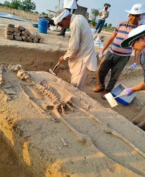 RakhigarhiExcavation, IndusValleyResearch, AncientDNAAnalysis