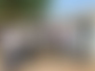 बिजली विभाग की लापरवाही: स्पार्किंग से 8 एकड़ गेहूं की फसल स्वाहा; किसान संगठन ने की आर्थिक मदद