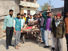 नीमड़ी: करंट लगने से बंदर की मौत पर फूटा आक्रोश, ग्रामीणों ने शव यात्रा निकाल जताया विरोध WildlifeSafety, ElectricHazards, CommunityProtest