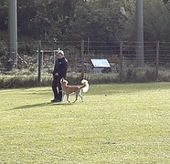 IMG-20191011-WA0017.jpg