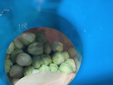 Pickled Nasturtium Seeds or Nasturtium Capers