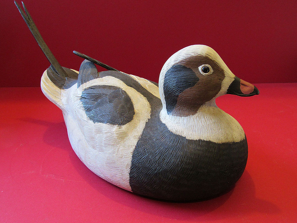 Thumbnail: Old Squaw Long-tailed Duck Decoy