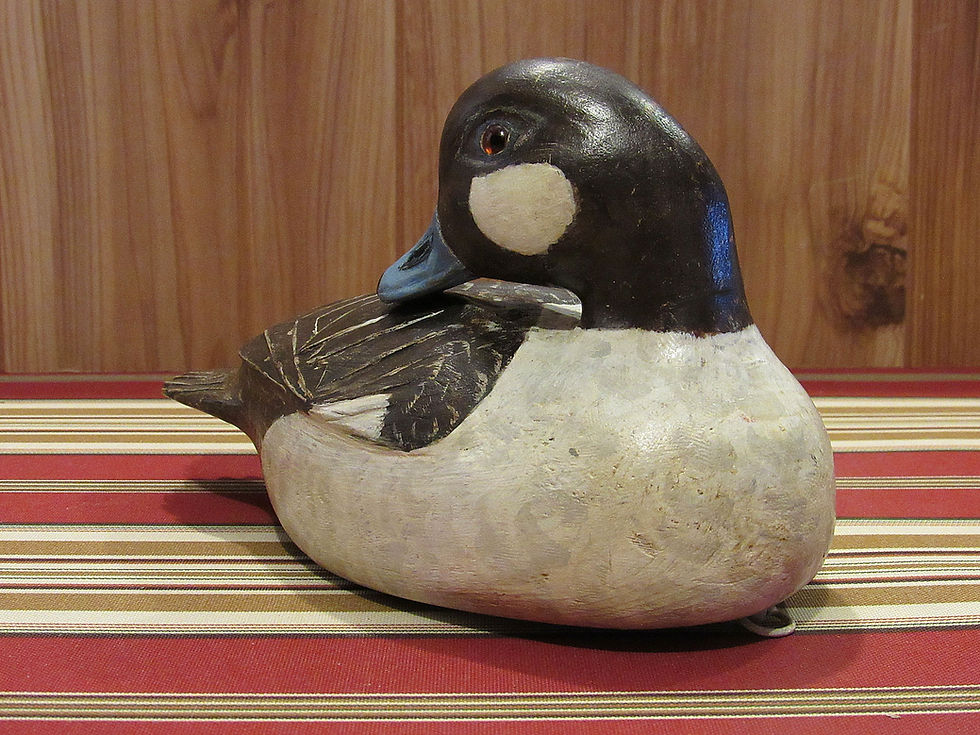 Thumbnail: Bufflehead Hen Turned Head Sleeper