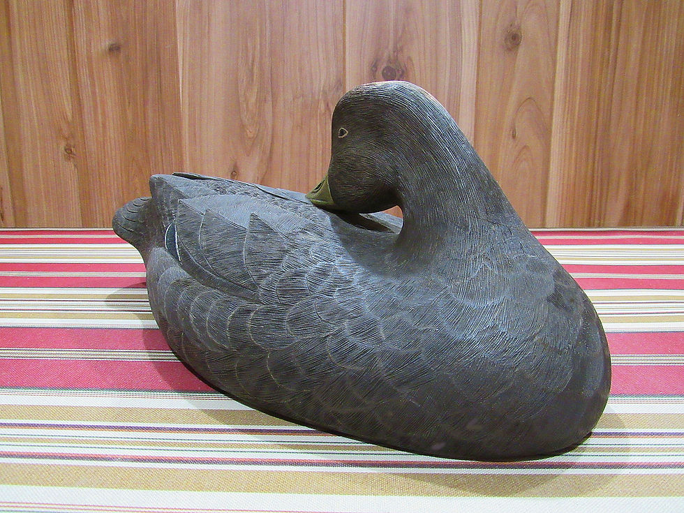 Thumbnail: Black Duck Sleeper