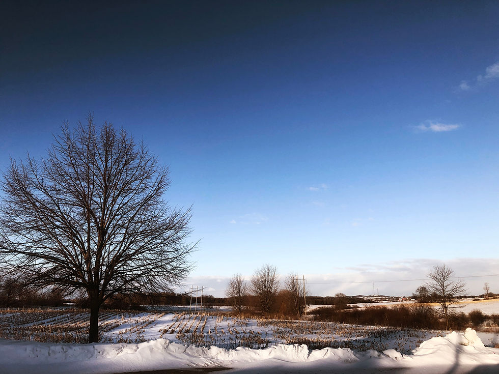 Where I've been the past year