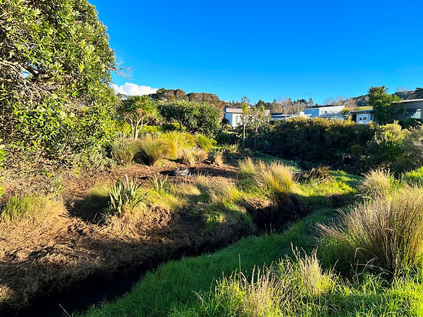Weeding and Planting Area