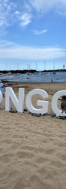 Wollongong Beach in the Evening, Illawarra