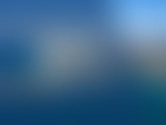 Moving to the Illawarra: Your Wollongong Buyer Weekend Guide