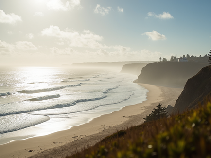 How to Navigate the Wollongong Property Market Successfully