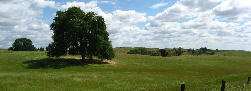 Scenic Madera County
