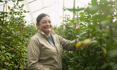 Captura de Pantalla 2022-11-25 a la(s) 9.08.30 a. m..png