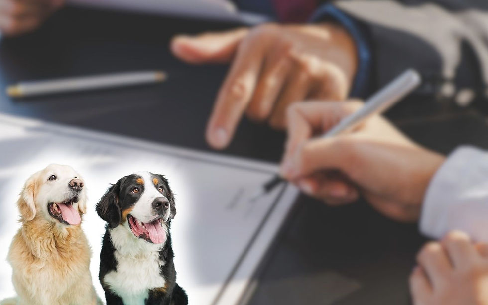 Estate planning document being signed, representing a Massachusetts pet trust for dogs