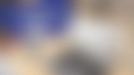 Dog Writers Association of America Appoints Boston Dog Lawyers As Legal Counsel