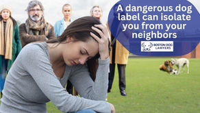Woman feeling isolated from neighbors after dangerous dog designation with Boston Dog Lawyers branding