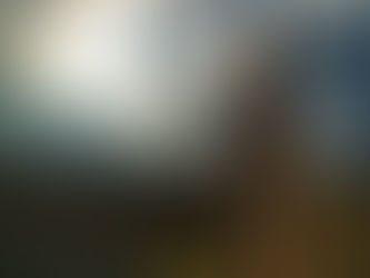 Venez vivre la réserve naturelle au crépuscule le 27/09/25 à 19h