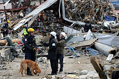 SAR Dog Tsunami.jpeg