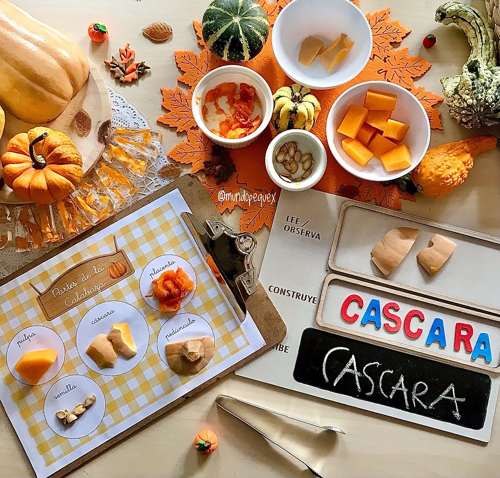 Miniatura: Kit Tardor  2 (mayúscula)