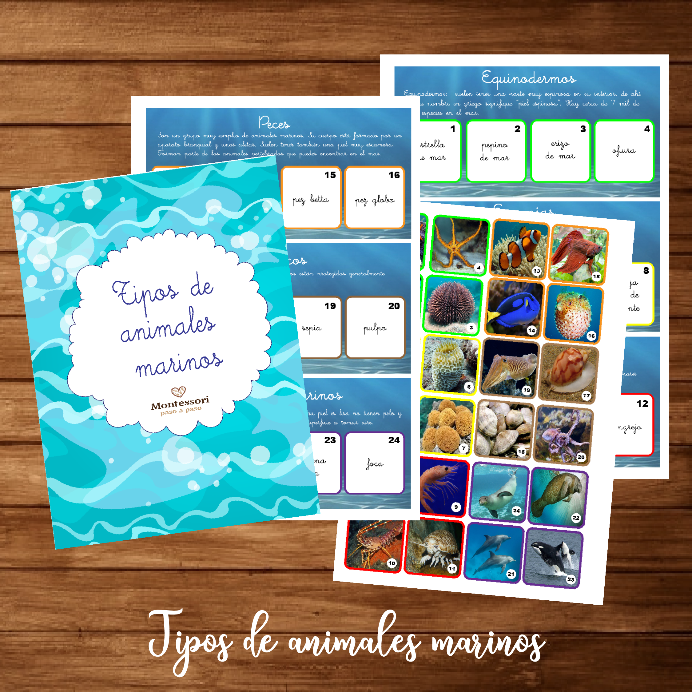 Descargable tipos de animales marinos (cursiva)