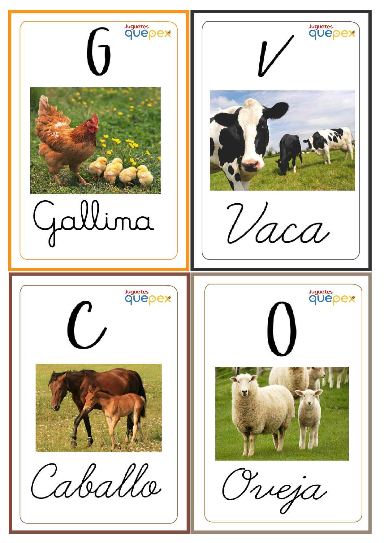 Archivo descargable: 48 tarjetas de animales con sus nombres