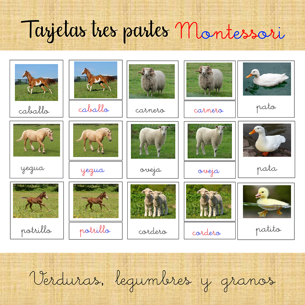 Tarjetas montessori tres partes animales de la granja y sus crías