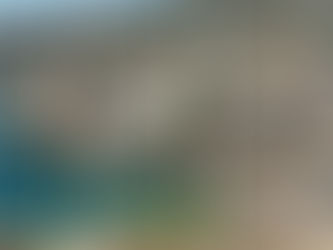 Do You See What I See...?